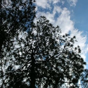 Meet your Posher, Jean